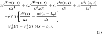Equation (5)