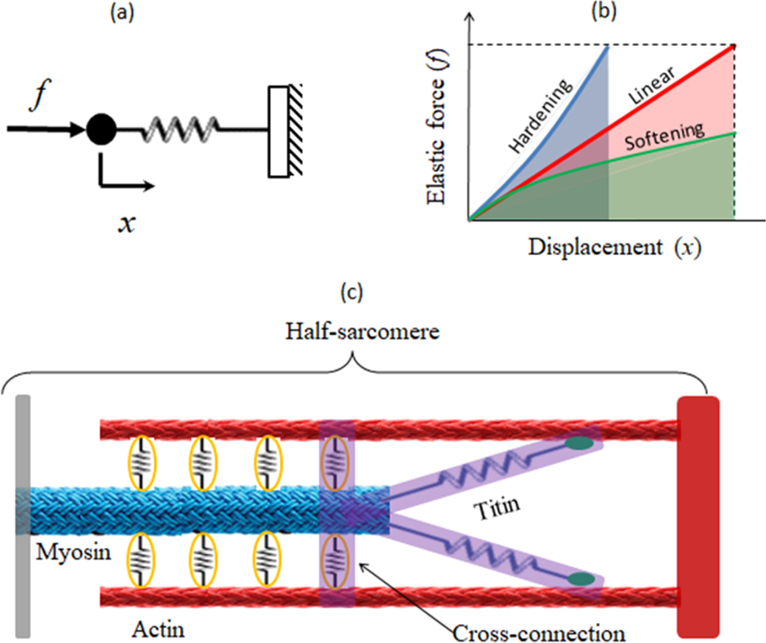 A K-shaped spring configuration to boost elastic potential energy ...