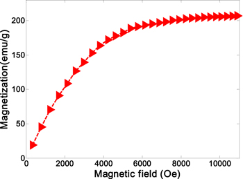Magnetorheological elastomers with particle chain orientation ...