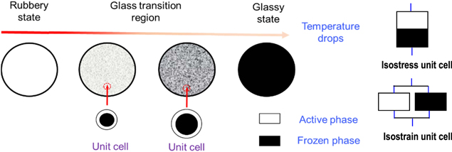 Design oriented constitutive modeling of amorphous shape memory ...