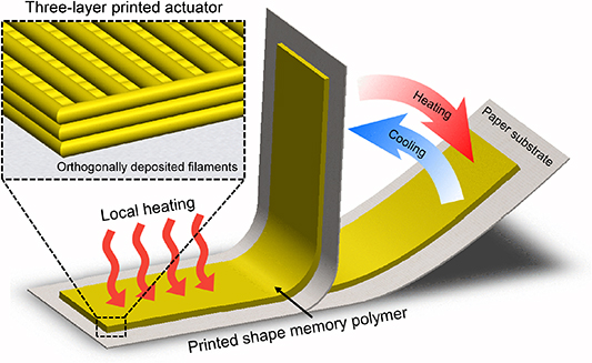 Pla Raster Angle Effect of 3D printing raster angle on reversible thermo-responsive ...