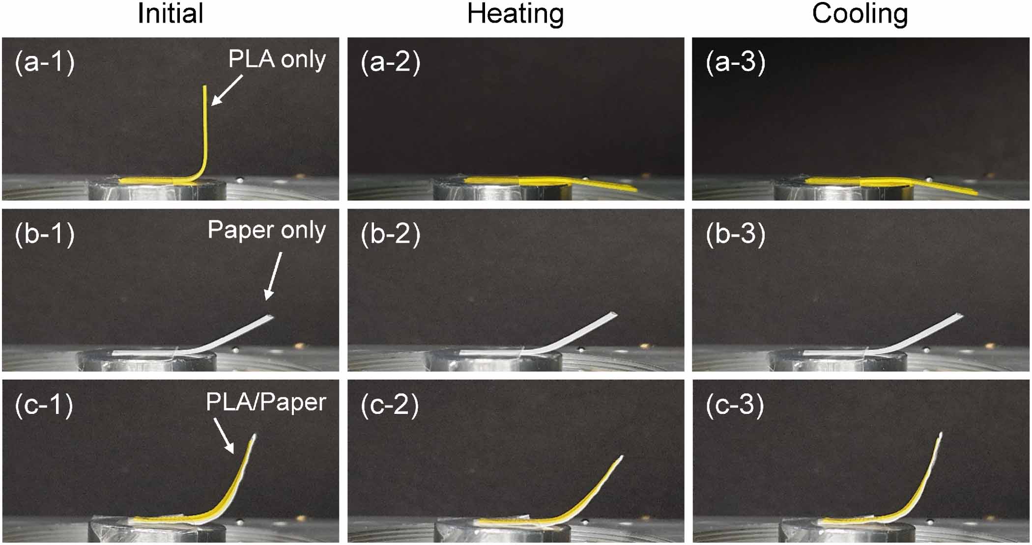 Pla Raster Angle Effect of 3D printing raster angle on reversible thermo-responsive ...