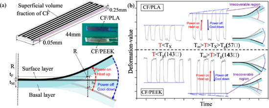 Recent advances of two-way shape memory polymers and four-dimensional ...