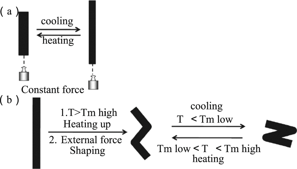 Recent advances of two-way shape memory polymers and four-dimensional ...