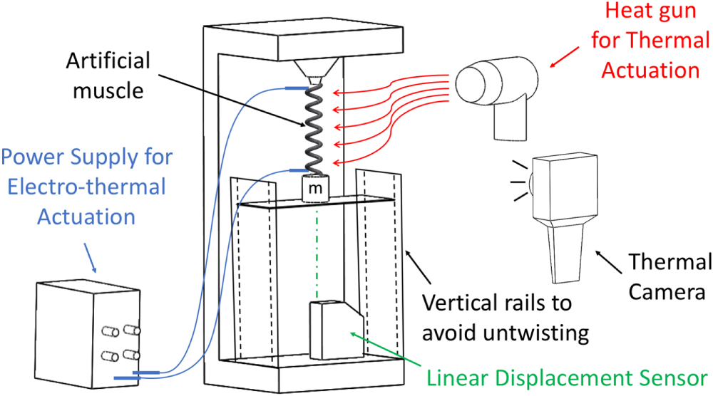 Dynamic model for the tensile actuation of thermally and electro ...