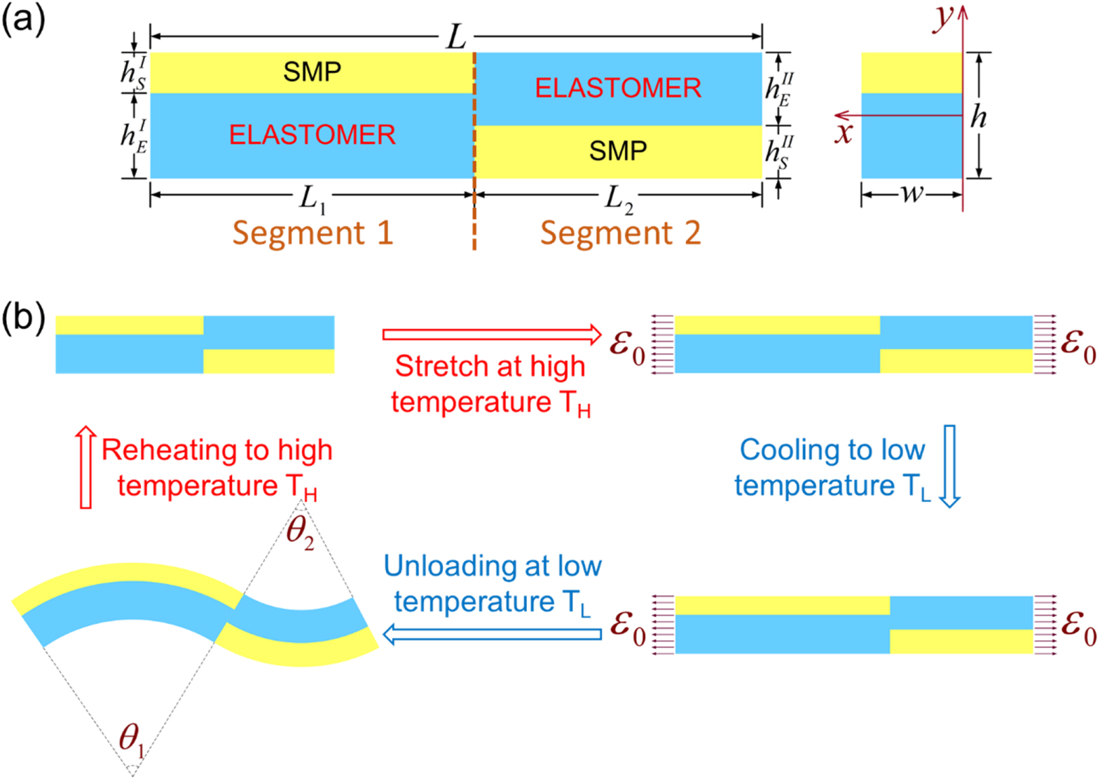 A phase evolution based constitutive model for shape memory polymer and ...