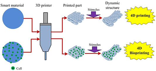 On 4D printing as a revolutionary fabrication technique for smart ...