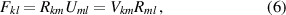 Equation (6)