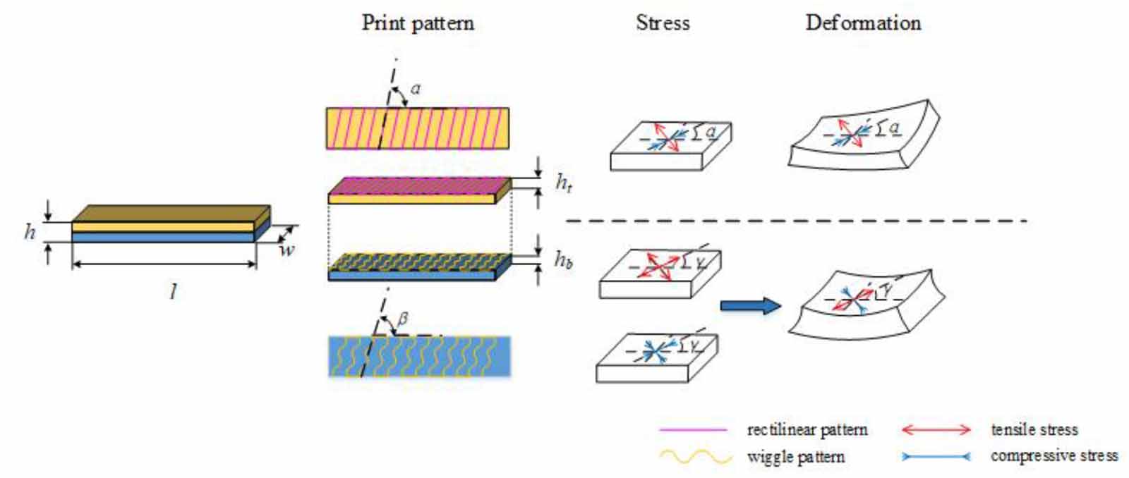 Controlled helical deformation of programmable bilayer structures ...