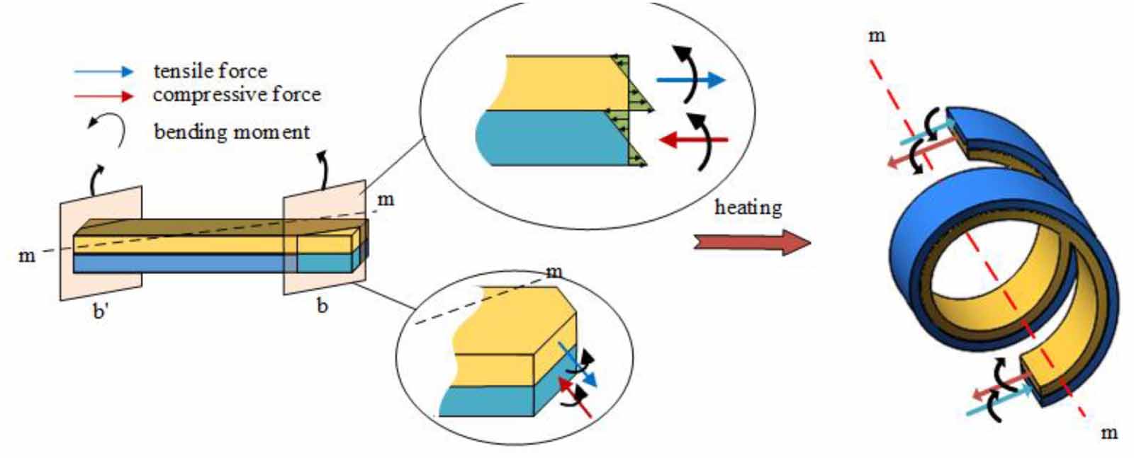 Controlled helical deformation of programmable bilayer structures ...