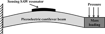 Surface acoustic wave pressure sensor on ScAlN/3C-SiC/Si layer ...