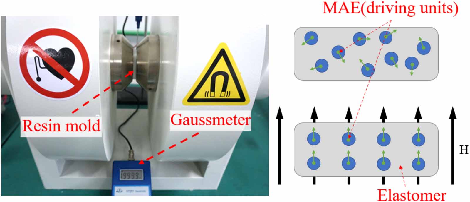 A magneto-active soft gripper with adaptive and controllable motion ...