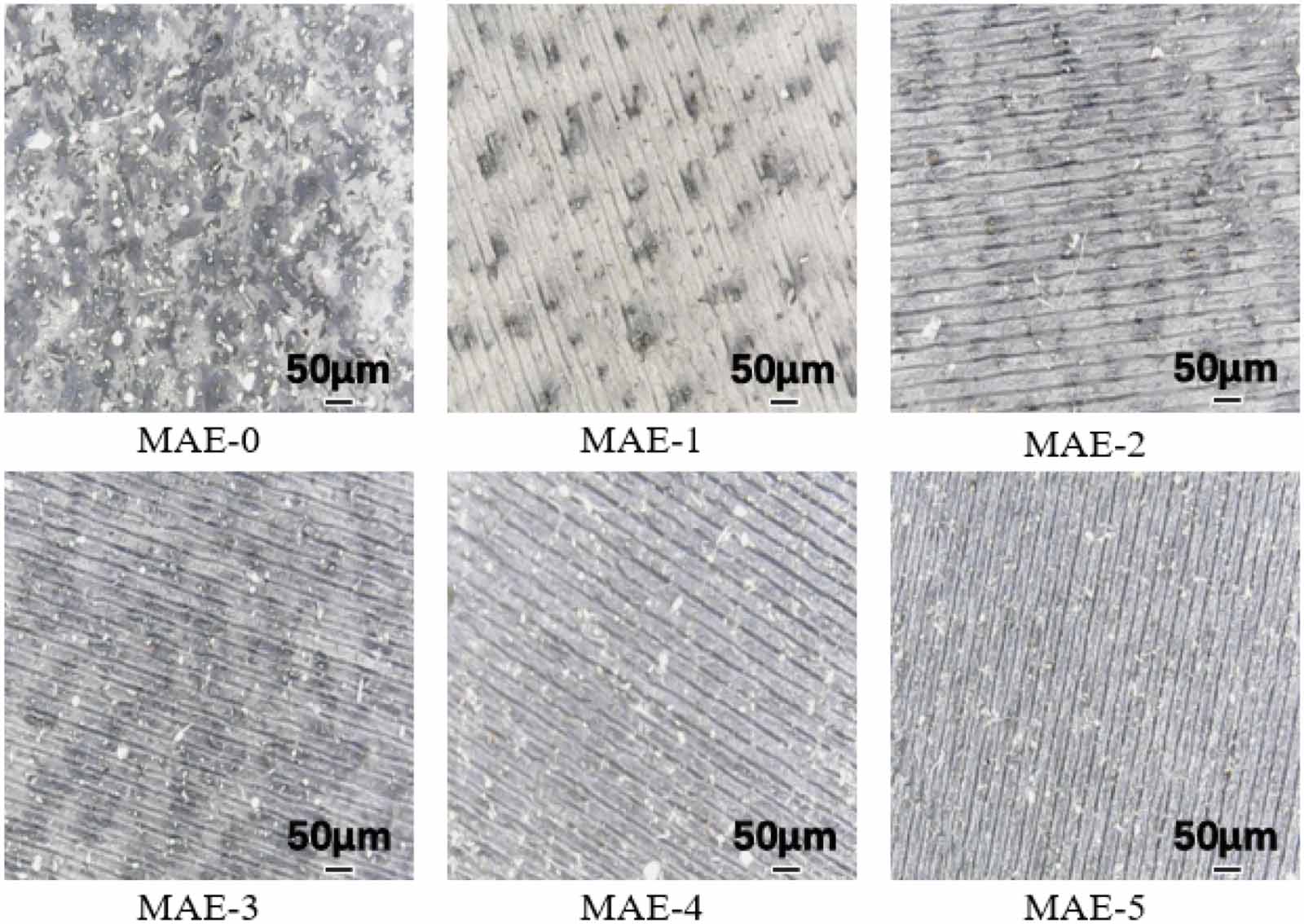 A magneto-active soft gripper with adaptive and controllable motion ...