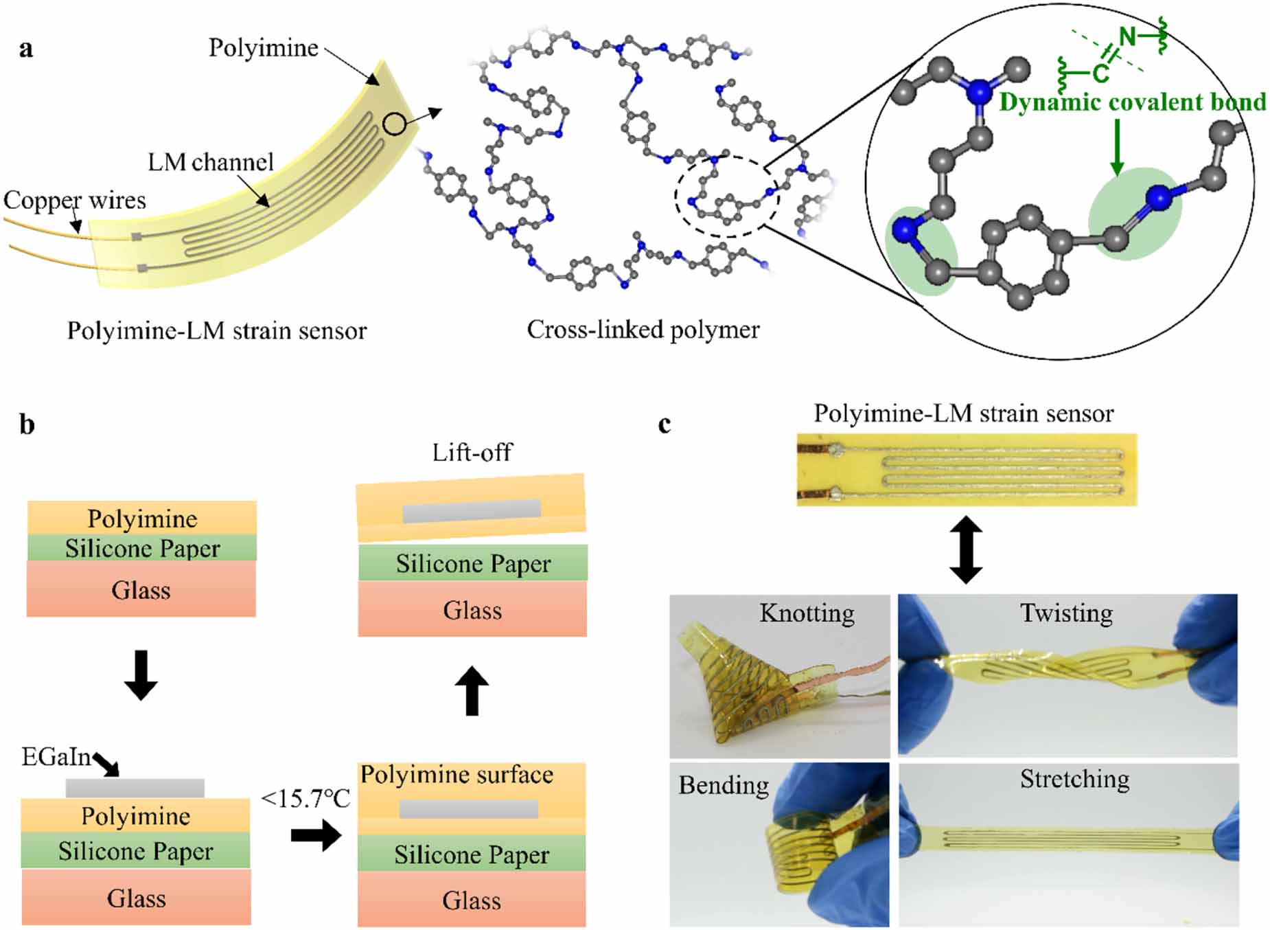 Highly stretchable and rehealable wearable strain sensor based on ...