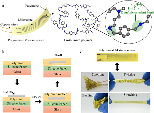 Highly stretchable and rehealable wearable strain sensor based on ...