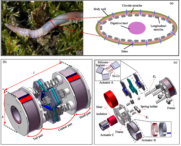 Design and fabrication of a crawling robot based on a soft actuator ...