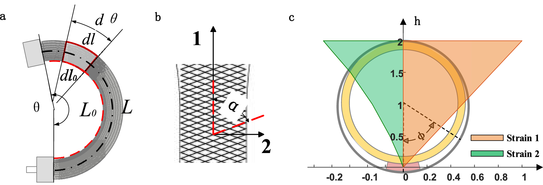 Characterization and nonlinear models of bending extensile/contractile ...