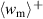 $\langle w_{\mathrm{m}}\rangle^{\mathrm{+}}$
