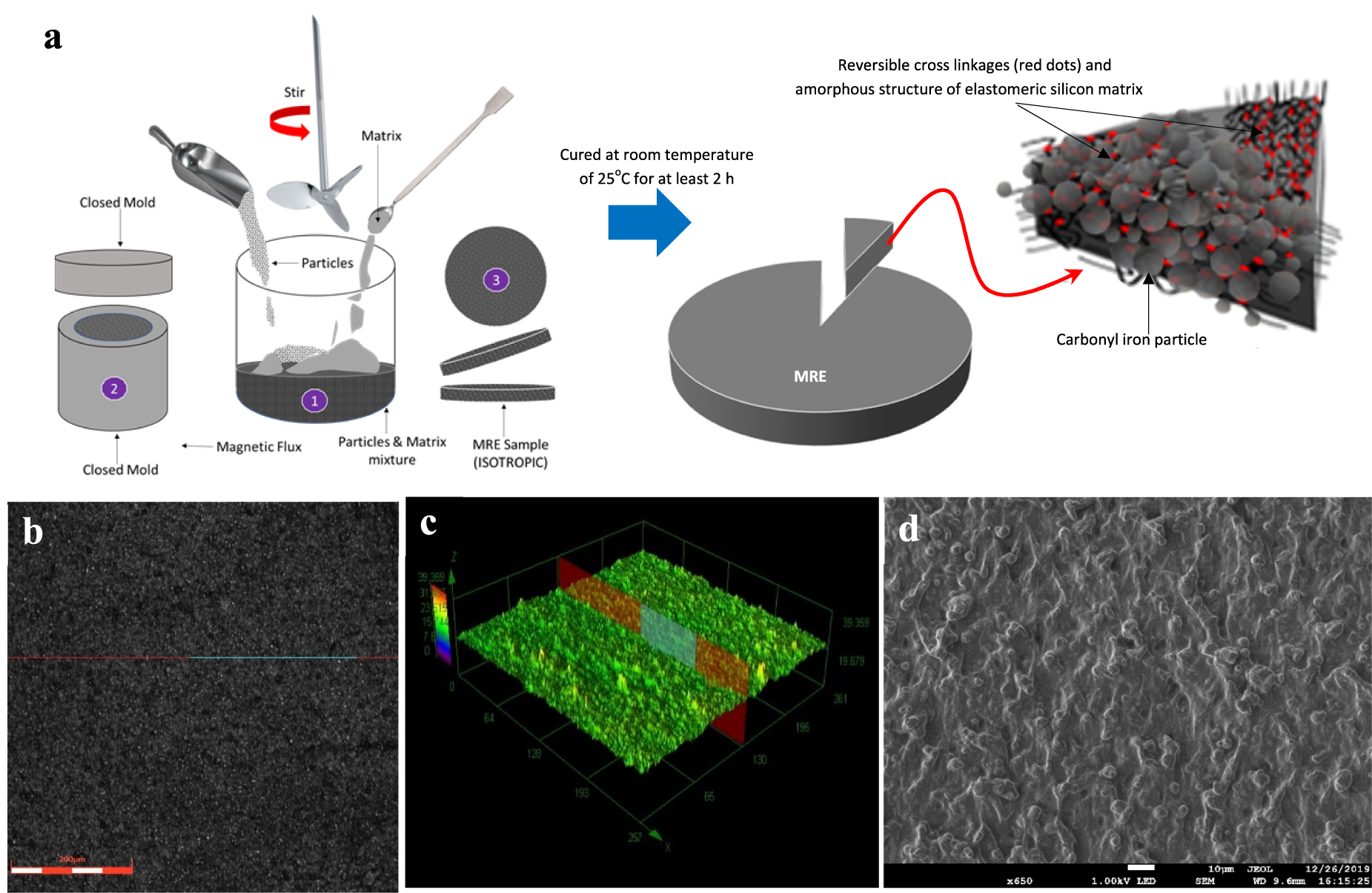 Shear band formation in magnetorheological elastomer under stress ...