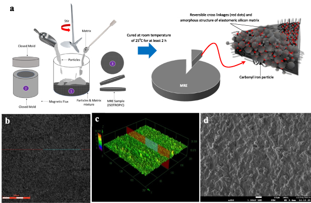 Shear band formation in magnetorheological elastomer under stress ...