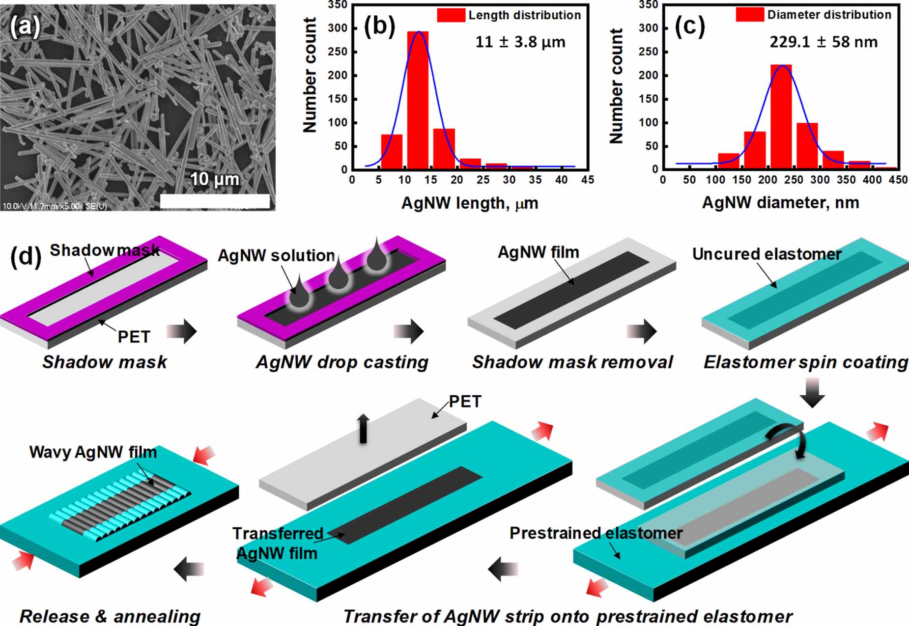 Highly sensitive and stretchable strain sensor based on self-aligned ...