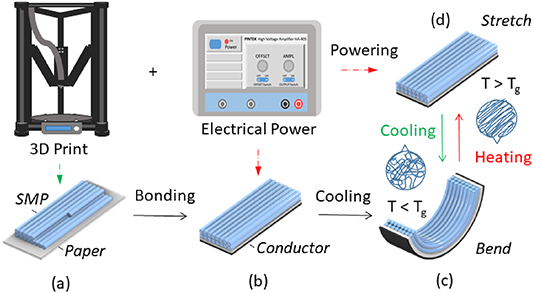 Design and 3D printing of paper-based shape memory polymer actuated for ...
