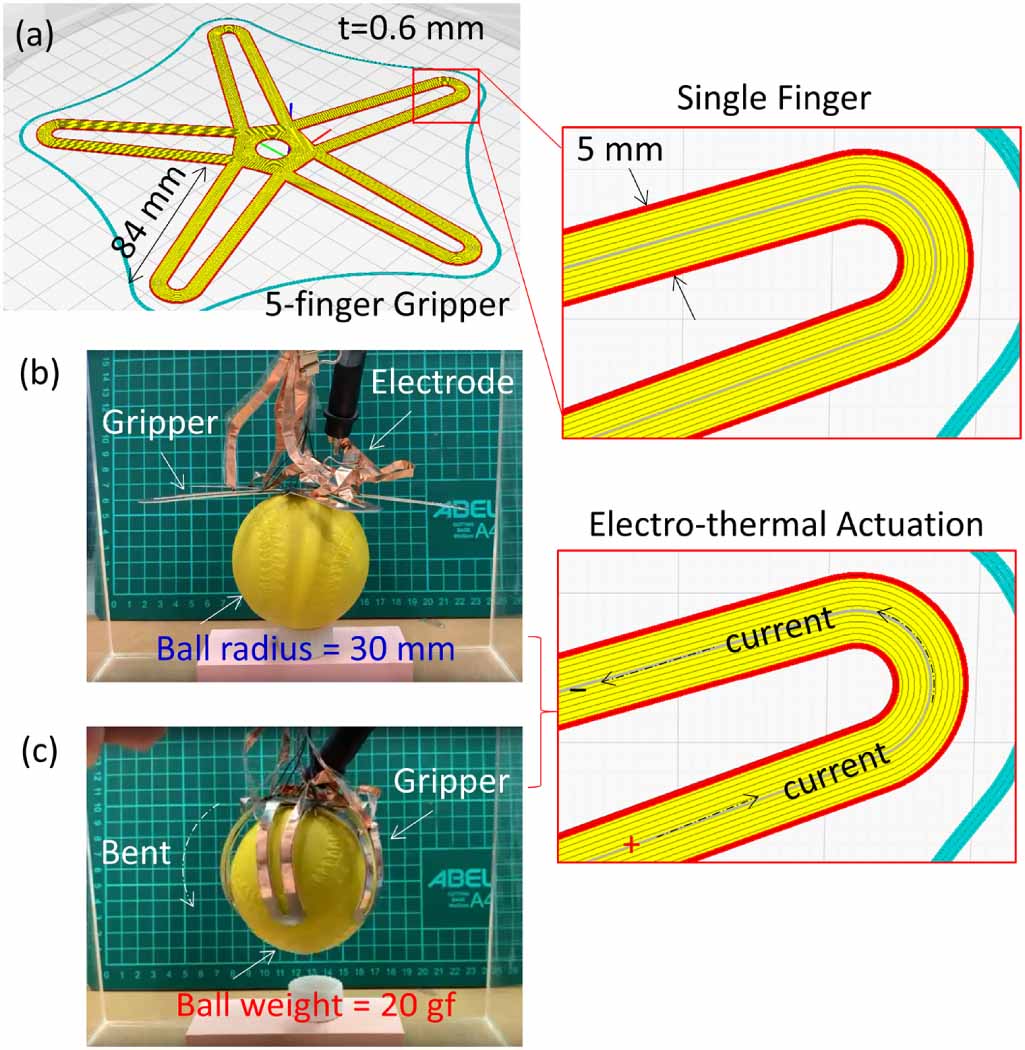 Design and 3D printing of paper-based shape memory polymer actuated for ...