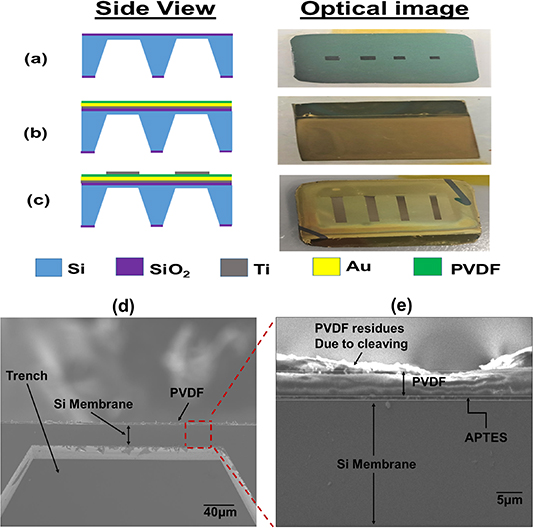 Preparation and optimization of PVDF thin films for miniaturized sensor ...
