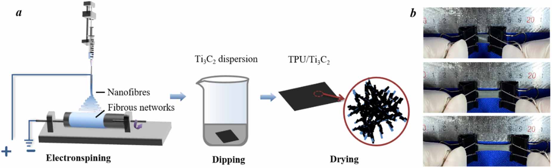 Tpu Spring Sensor Highly stretchable and sensitive strain sensor based on Ti3C2-coated ...