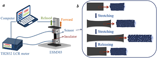 Tpu Spring Sensor Highly stretchable and sensitive strain sensor based on Ti3C2-coated ...