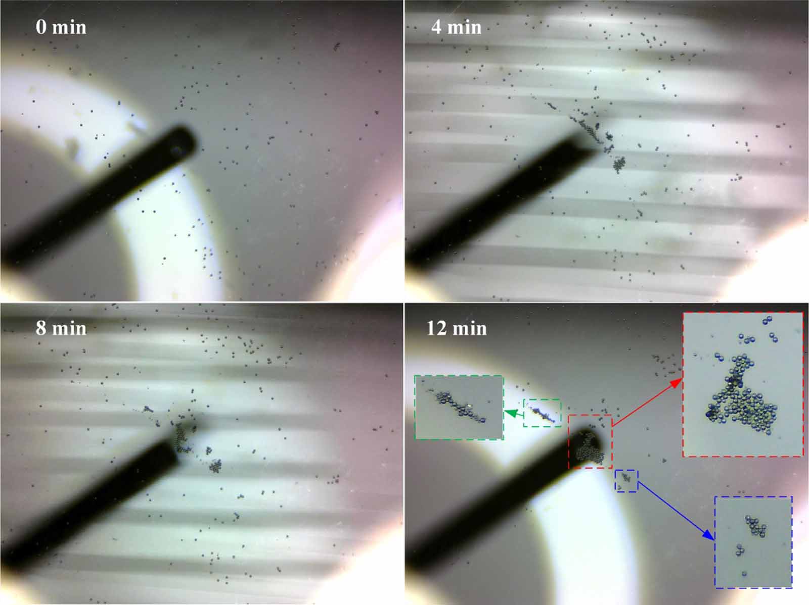 Vortex-based aggregation of micron particles in liquid using low ...