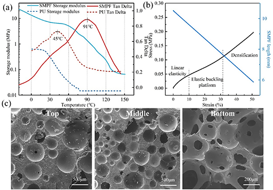 Shape memory polymer foam: active deformation, simulation and ...