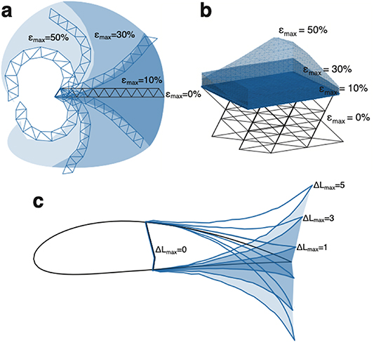 A nonlinear optimization method for large shape morphing in 3D printed ...