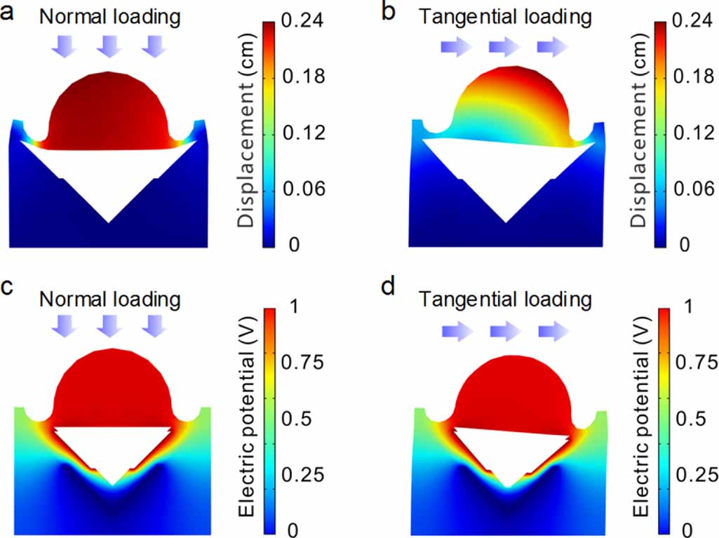 Highly sensitive and flexible three-dimensional force tactile sensor ...