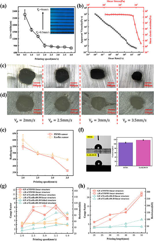 Fabrication of high sensitivity and stable strain sensors based on ...