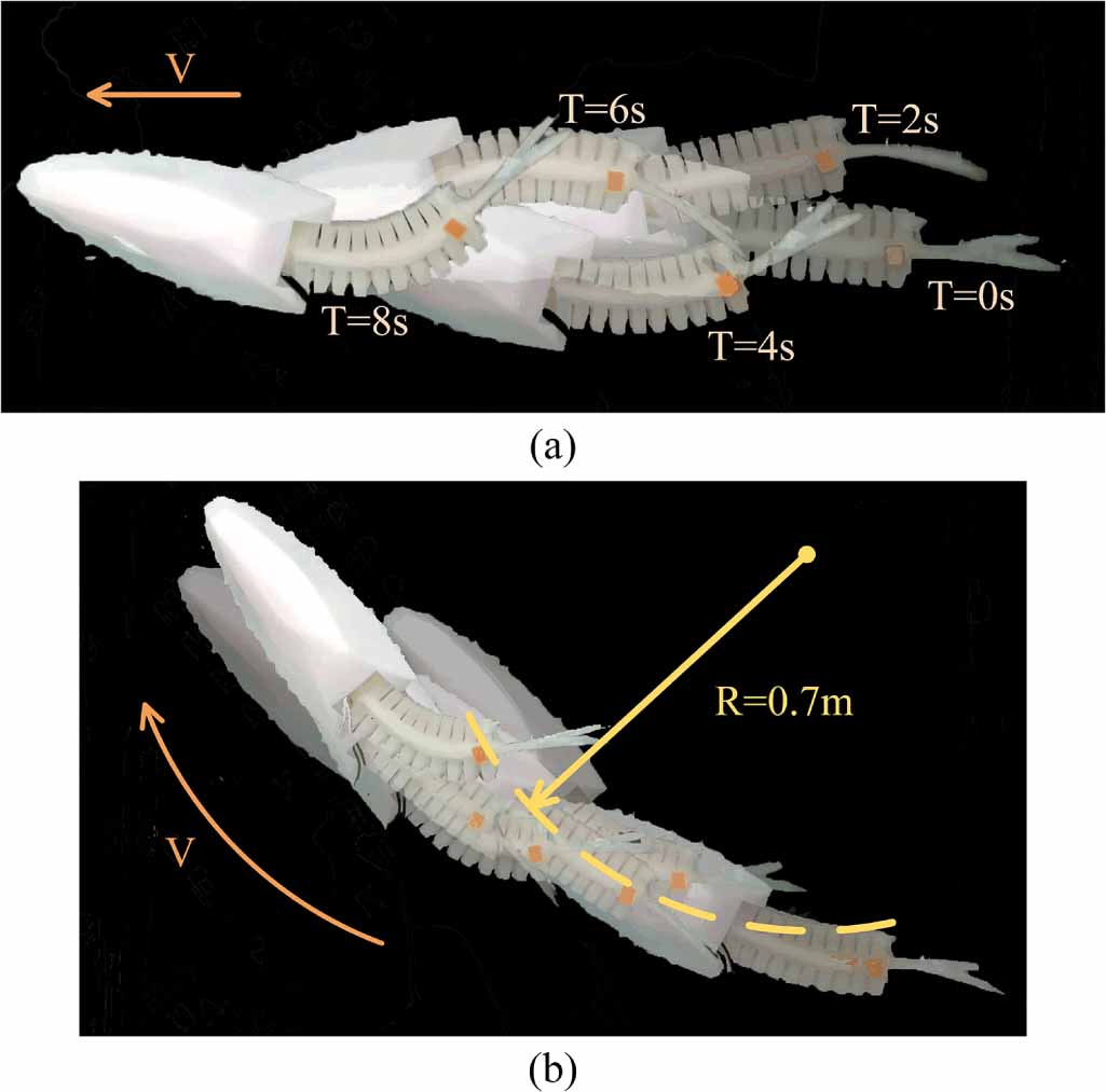 Dynamic Fish Neural network-based motion modeling and control of water-actuated soft ...