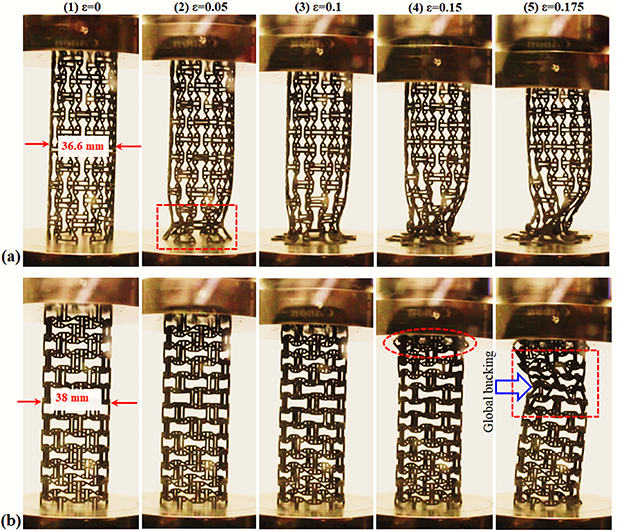 3D printed auxetic stents with re-entrant and chiral topologies ...