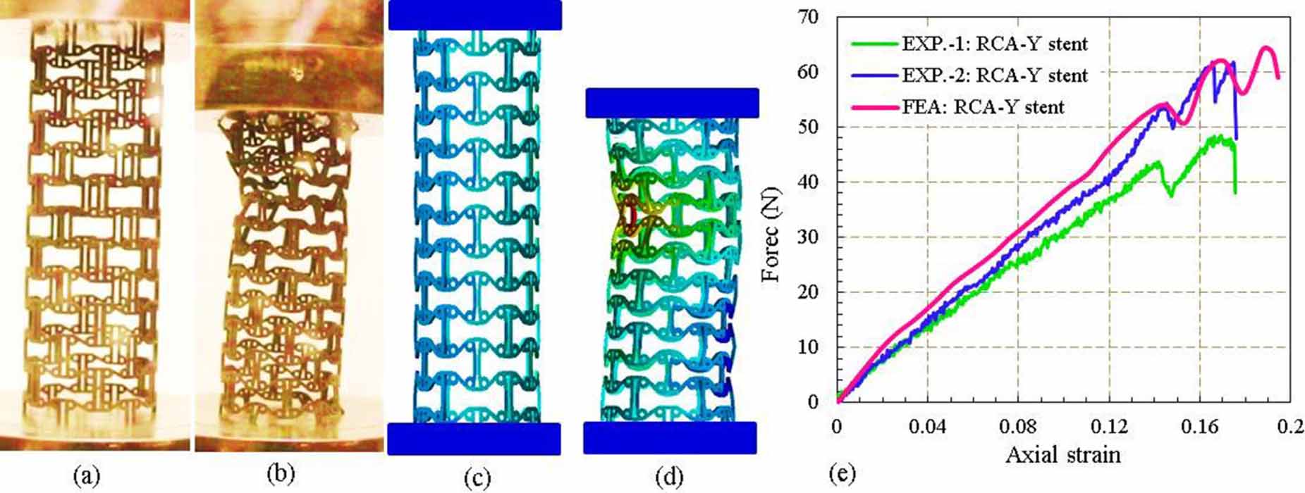 3D printed auxetic stents with re-entrant and chiral topologies ...