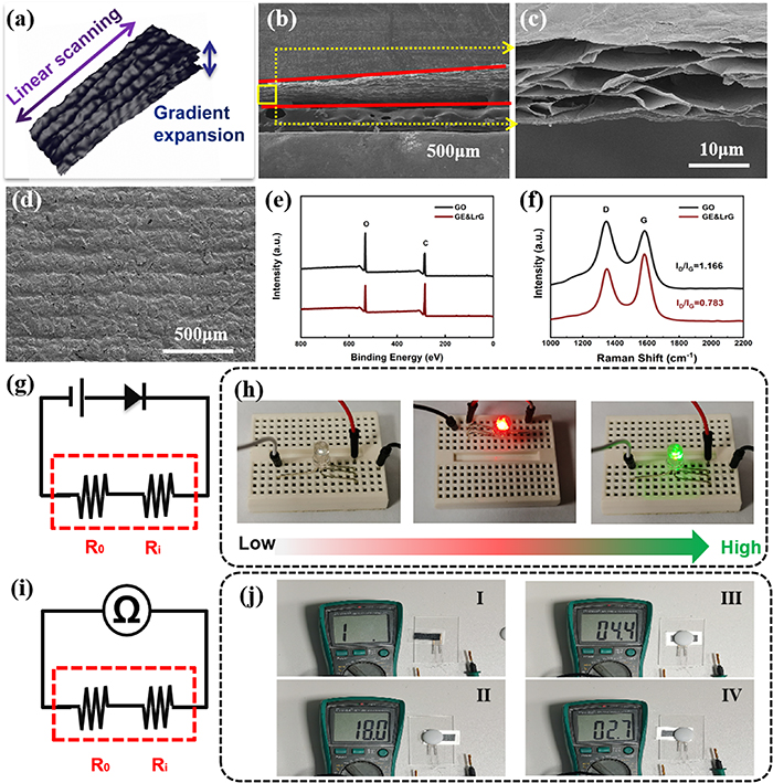 Sensor Gradiente Gradient expanded-structured graphene pressure sensor prepared by one ...