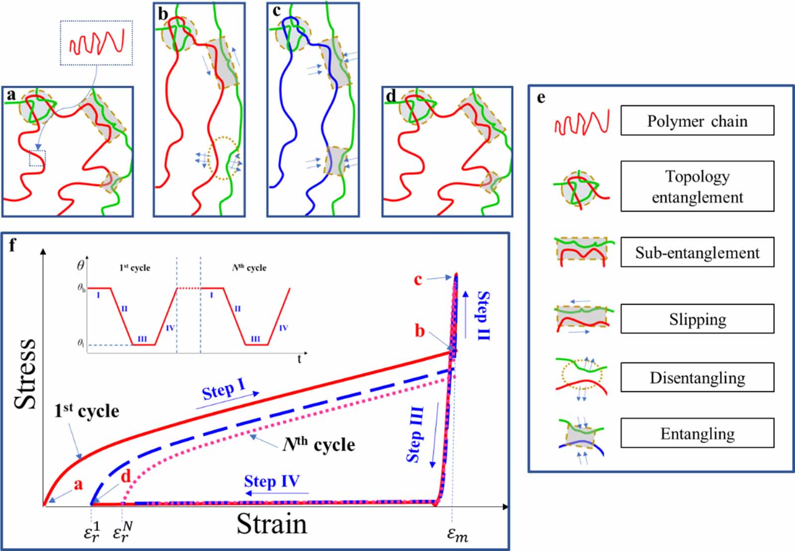 A thermo-viscoelastic constitutive model addressing the cyclic shape ...