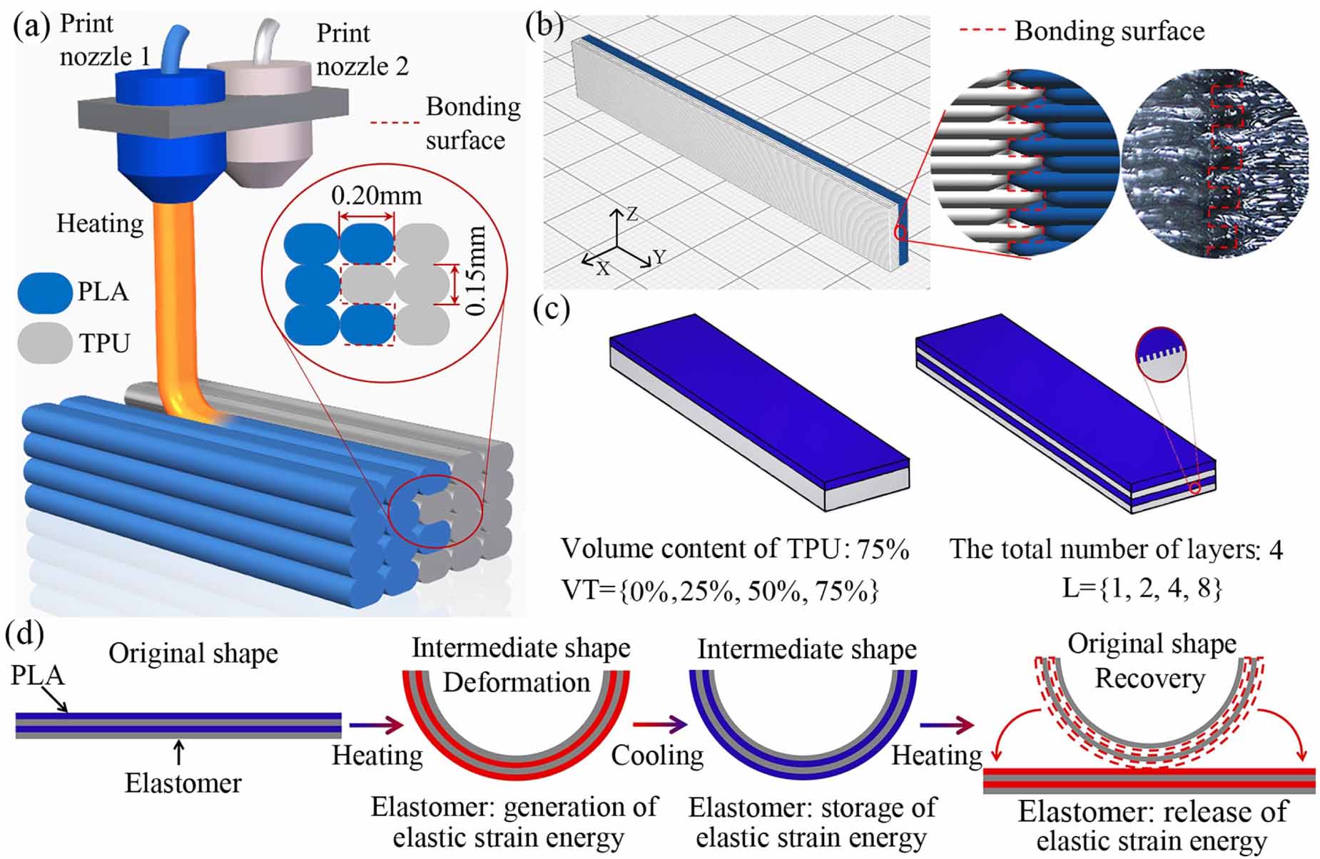 Enhanced multi-material 4D printing hybrid composites based on shape ...
