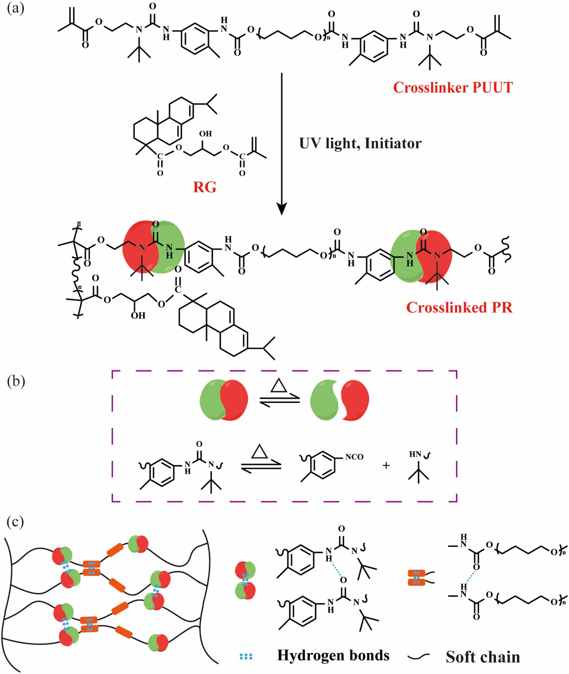Dynamic Reversible Polymers Cross-linked self-healing polymers containing rosin moiety based on ...