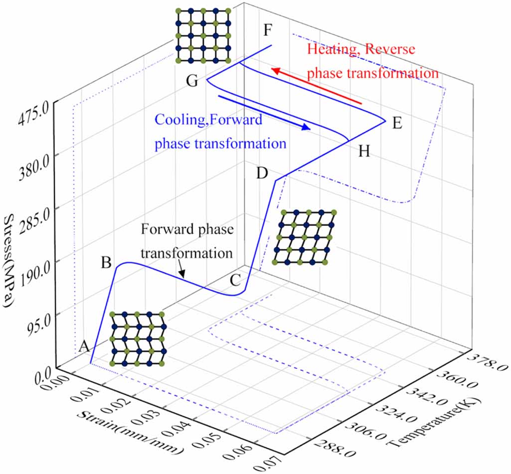 A polynomial constitutive model of shape memory alloys based on ...