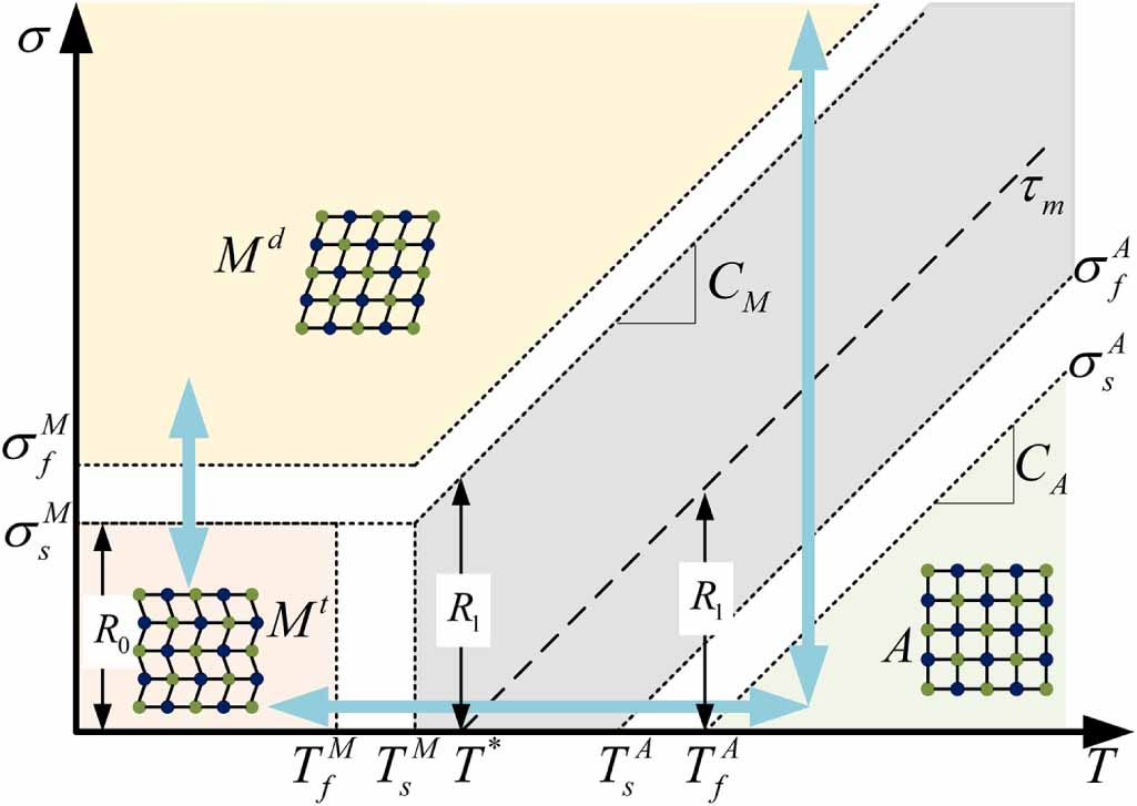 A polynomial constitutive model of shape memory alloys based on ...