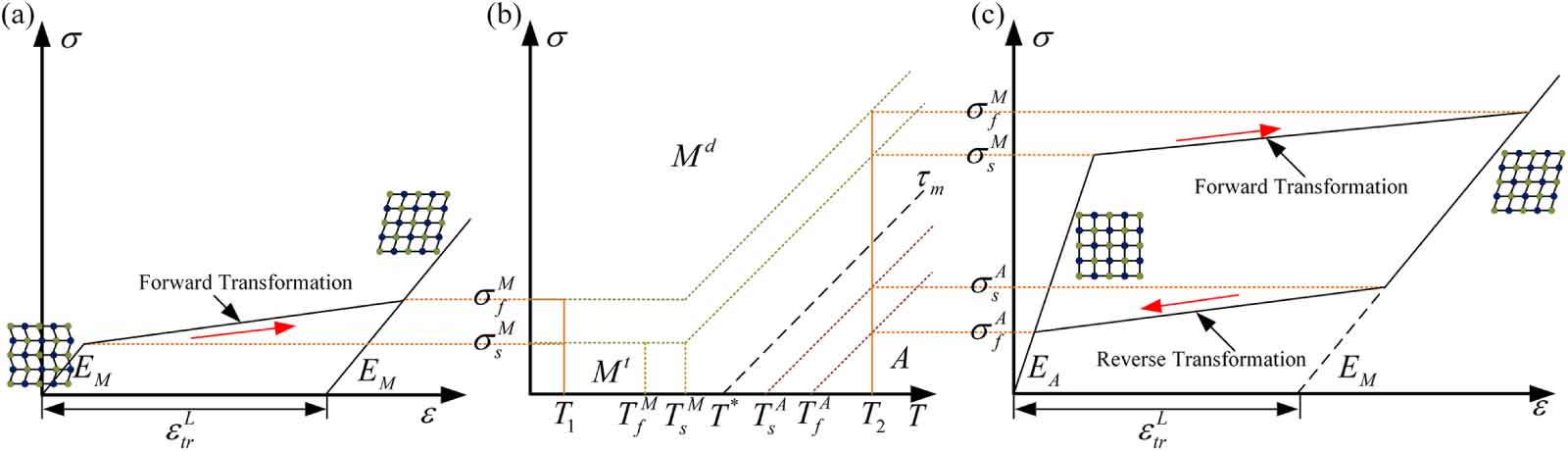 A polynomial constitutive model of shape memory alloys based on ...