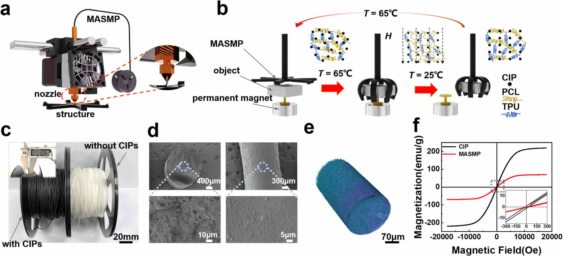 Shape memory polymers enable versatile magneto-active structure with 4D ...
