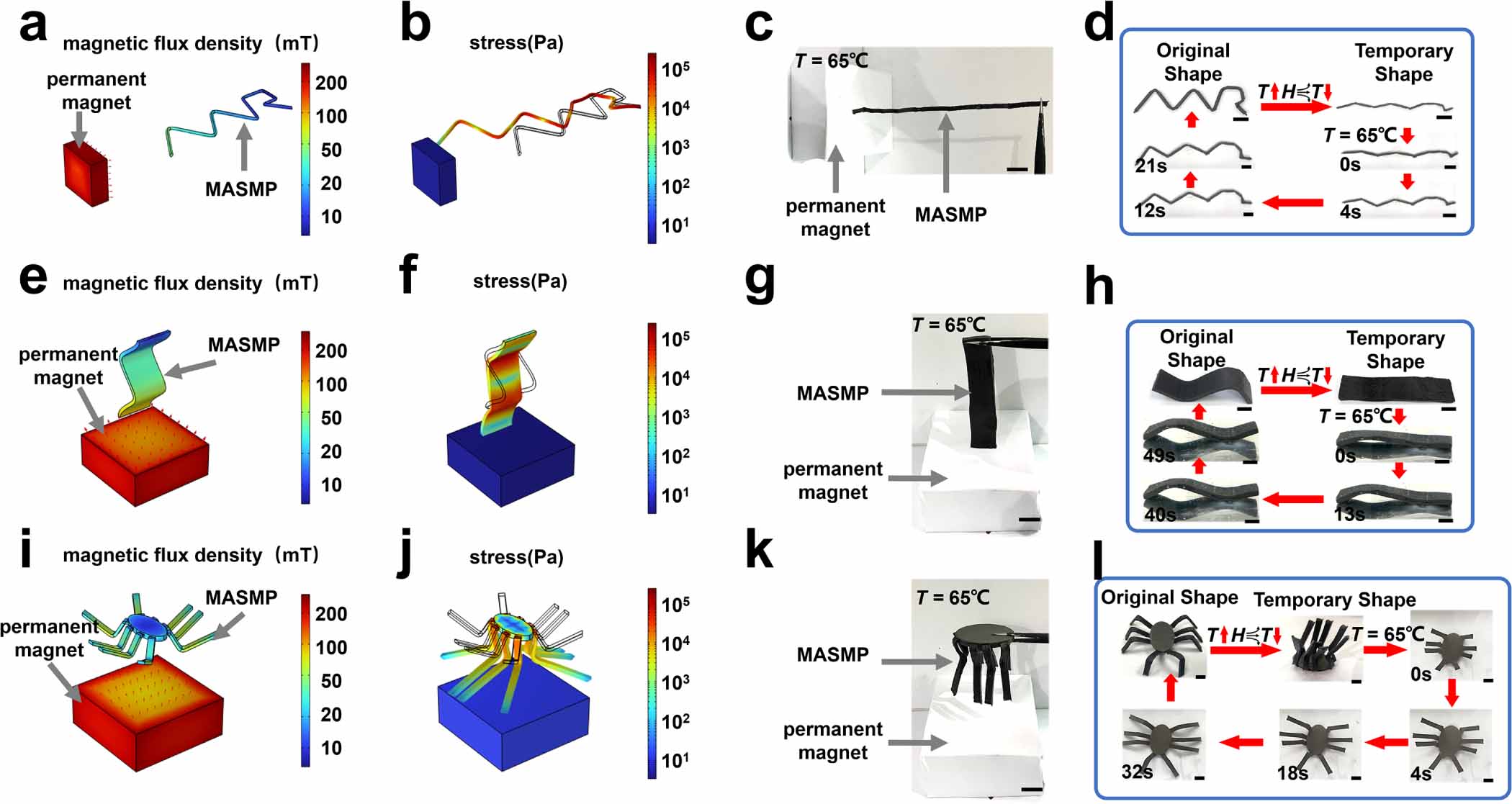 Shape memory polymers enable versatile magneto-active structure with 4D ...