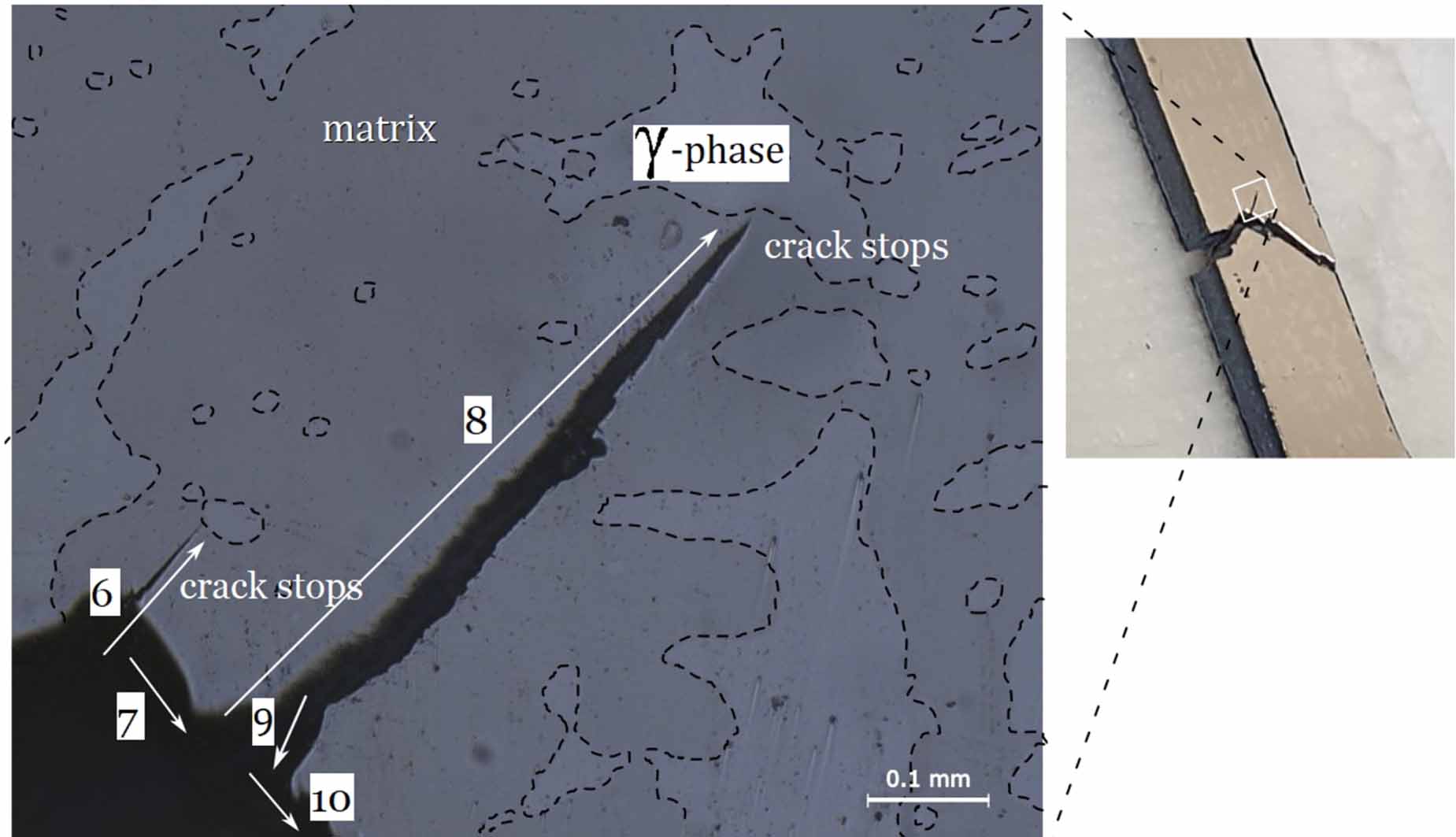 The effect of microstructural barriers on transient crack growth in ...