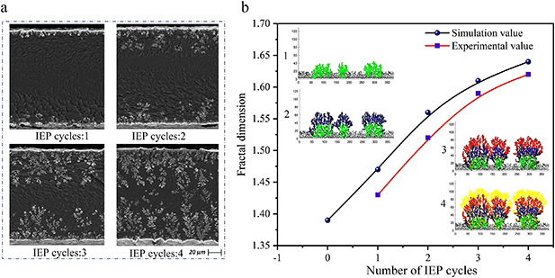Growth simulation based on diffusion-limited aggregation method for ...