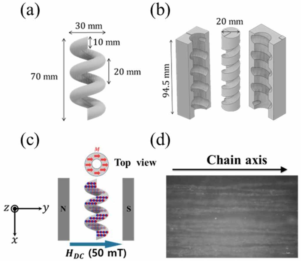Magnetic-field-controllable elasticity of helical spring magnets ...